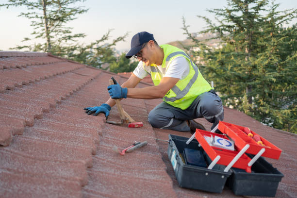 Best Roof Gutter Cleaning  in Saugatuck, CT